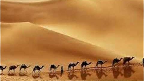 Thumbnail of Bobby McFerrin Say Ladeo