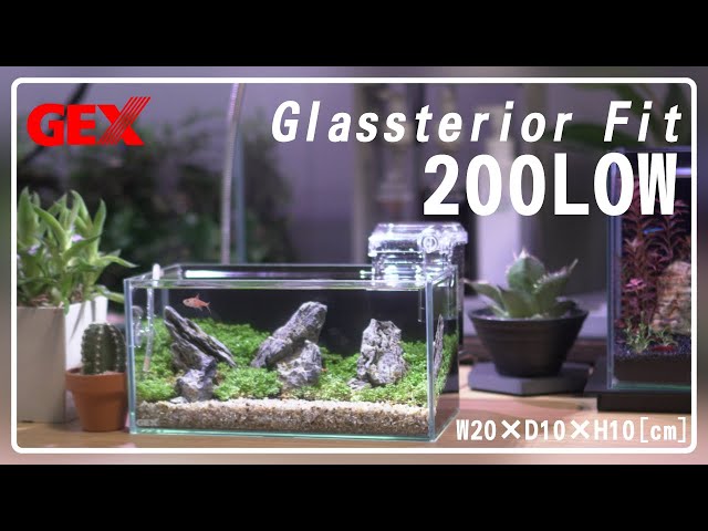 Ultra-small aquarium setup] A 20cm low aquarium, a huge impact in
