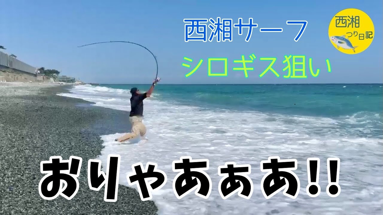 西湘サーフ　6月　二ノ宮海岸　シロギス　No.７３