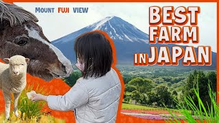 BEST FARM IN JAPAN!! #india #japan #japanese #Mt.fuji#FARM