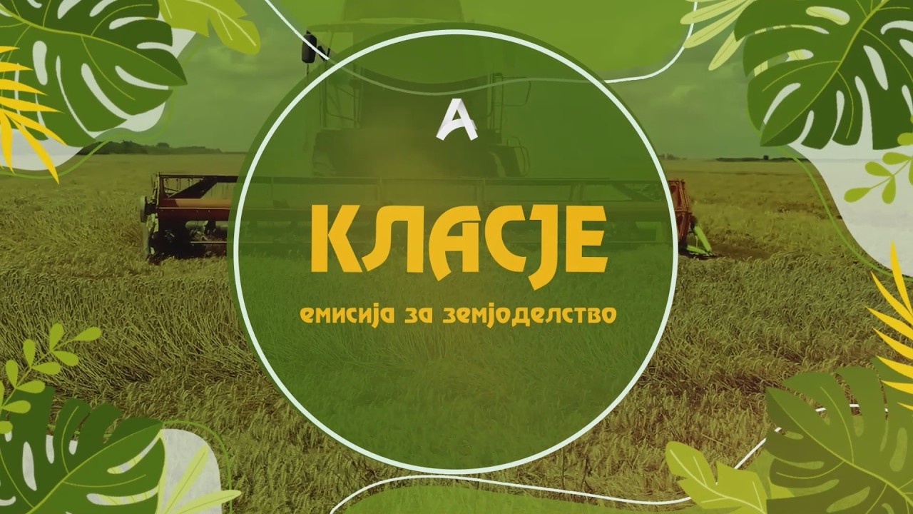 КЛАСЈЕ - епизода 24