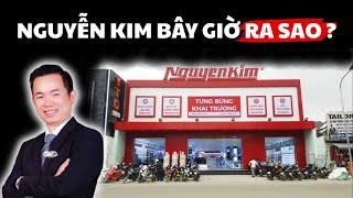 Nguyễn Kim Tụt Dốc Không Phanh Vì Sao Đế Chế Điện Máy Một Thời Mất Ngôi Vương?