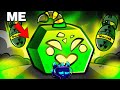 BOMB Rework Vs ALL FRUITS In Blox Fruits 