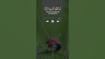 وما خلقت الجن والأنس إلا ليعبدون |  سورة الذاريات‌‎ | القارئ #فهد_واصل_المطيري
