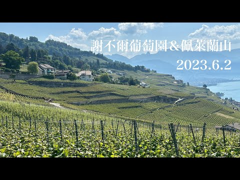 我的瑞士夢幻旅程-12 謝不爾葡萄薗、佩萊蘭山