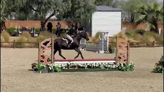 We got reserve CHAMPION on our last week! What a good boy Lenny!