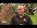Activists Deface Monument Honouring First World War Personnel In Victoria | 10 News