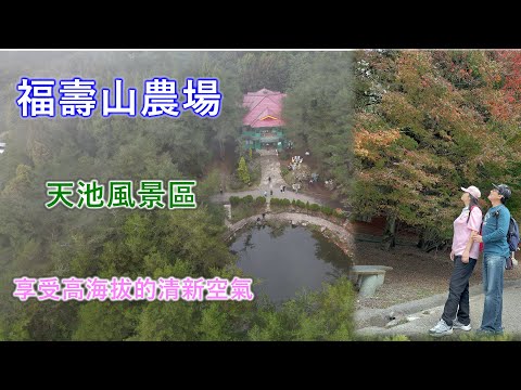 福壽山農場 天池風景區 鴛鴦湖 高海拔大口呼吸芬多精 好暢快