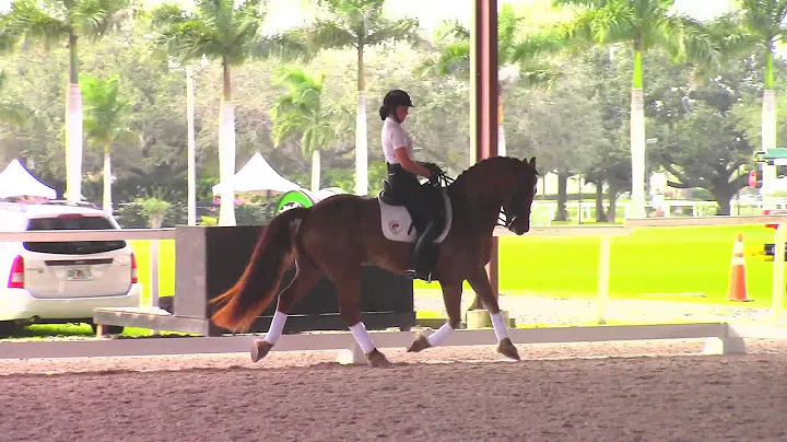 Debbie McDonald: How to Create Suspension in The T...