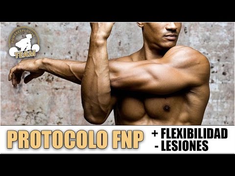 MEJORA TU FLEXIBILIDAD Y EVITA LESIONES: FNP