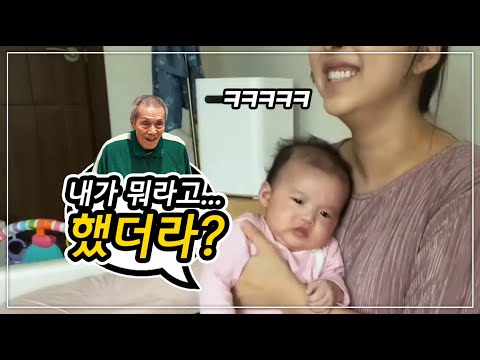 저기요...최부장님...... [시베리안허스키(Siberian husky,シベリアンハスキー), 시바견(Shibainu,柴犬), 믹스견백설]
