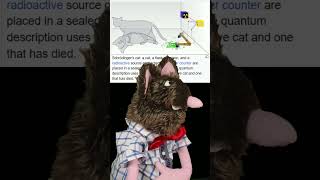 Schrodinger Happy Groundhog Day