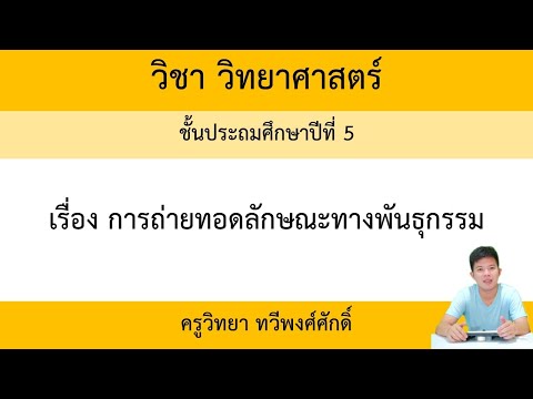 วิทยาศาสตร์ ป.5 เรื่อง การถ่ายทอดลักษณะทางพันธุกรรม