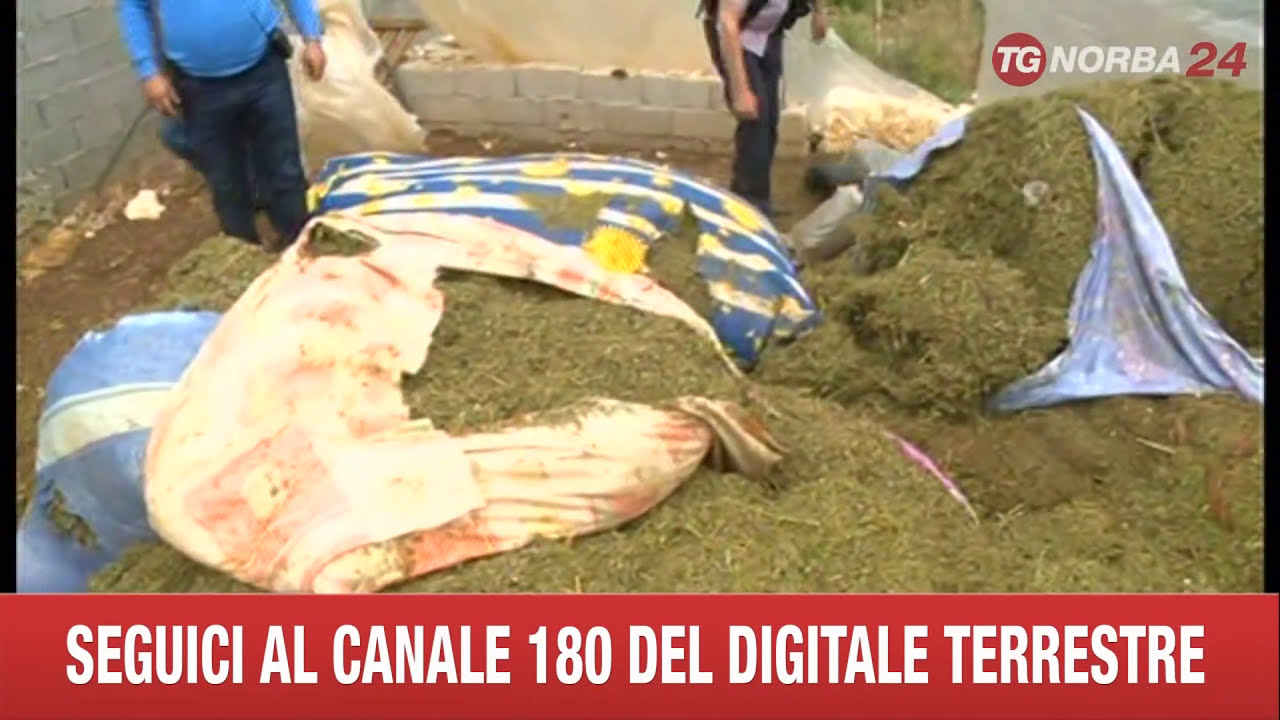 DROGA ALBANIA LAZARAT ASSEDIO POLIZIA TERMINATO