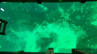 Kitch-iti-kipi Timelapse