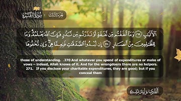 03الجزء الثالث برواية حفص عن عاصم للقارئ وليد بشتة