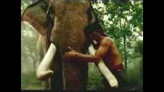 'Protector' Tony Jaa 