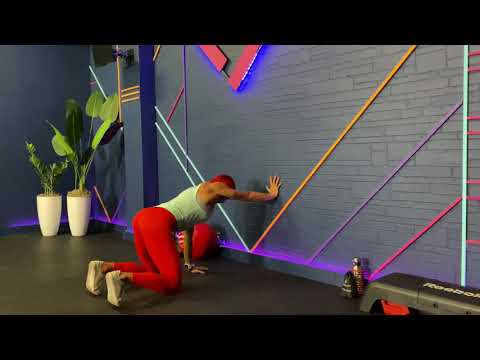 Bear Crawl Wall Up Down