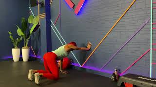 Bear Crawl Wall Up Down