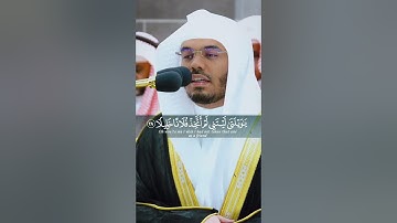 وَيَوْمَ يَعَضُّ الظَّالِمُ عَلَى يَدَيْهِ ~ تلاوة عراقية مؤثرة تخشع لها القلوب للشيخ ياسر الدوسري😢💔