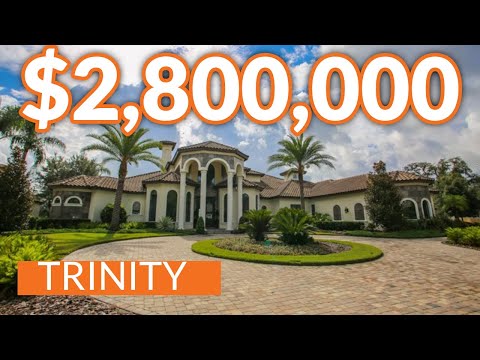 9829 Milano Dr, Trinity, FL home video tour