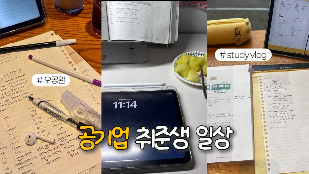 취준생 브이로그 | 공부를 계속 하는건 내 골반이 멈추지 않는 탓인걸까 | 공기업 준비 | 공부브이로그 | 카공