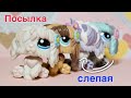 LPS посылка со СЛЕПОЙ собакой / lps распаковка