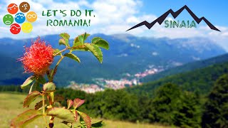 &quot;Let`s Do It, Romania!&quot; la Sinaia