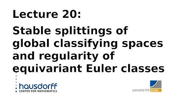 Global homotopy theory / Lecture 20: Splitting global classifying spaces and regular Euler classes