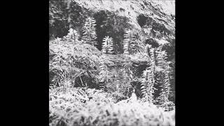 Acronym & Korridor - Untitled [VAA03]