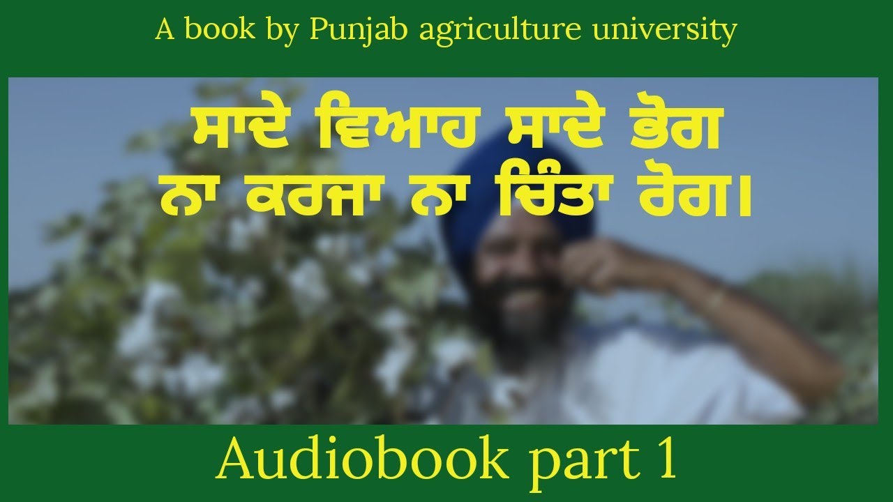 ਸਾਦੇ ਵਿਆਹ ਸਾਦੇ ਭੋਗ   punjabi audio book Part 1