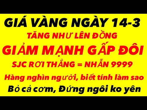 Giá vàng hôm nay ngày 14-3-2024 - giá vàng 9999 hôm nay - giá vàng 9999 - bảng giá vàng sjc 9999 24k