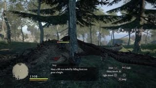 Dragon's Dogma (PS4) Hunting the Devilfire Grove Drake