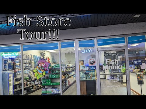 Fish Mania Chattanooga Fish Store Tour