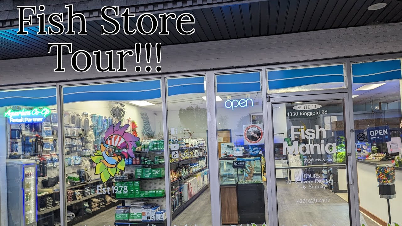 Fish Mania Chattanooga Fish Store Tour YouTube