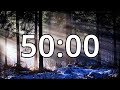 50 minutes winter timer countdown with music and alarm simple beep