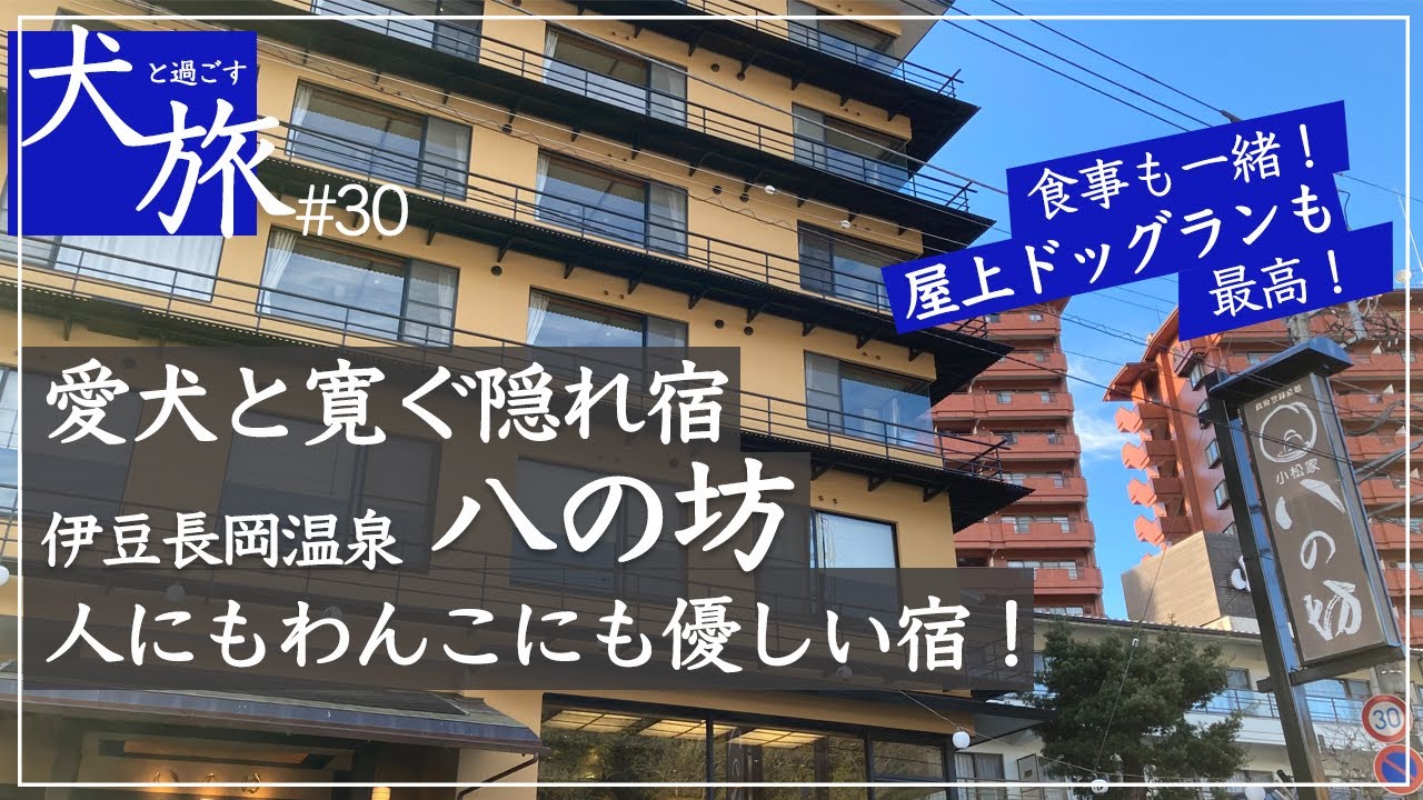 【八の坊｜伊豆】愛犬と泊まれる伊豆にある隠れ宿の貸切露天風呂と広い和室で疲れを癒す