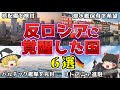 【ゆっくり解説】世界に広がるロシア包囲網!反ロシアに覚醒した国6選を解説【雑学】