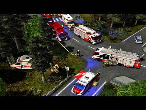 RTW nach Wildunfall