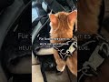 Was meint ihr? Wo gehts hin? Nehme euch heute den Tag über auf Instagram mit und versuche auch.🐈🐱