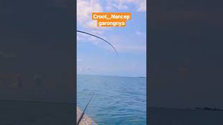 Crooot....nancep Garongnya