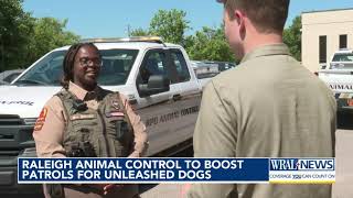 Raleigh animal control to boost patrols for unleashed dogs