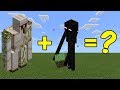 I Combined an Iron Golem and an Enderman in Minecraft - Here's What Happened...