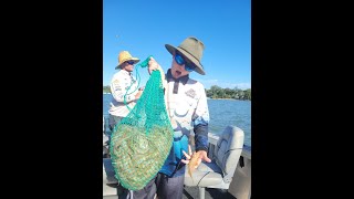 Gold Coast Prawning (Prawns Everywhere) | Pawning  in Paradise