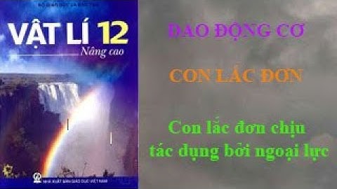 Con lắc đơn chịu tác dụng bởi ngoại lực