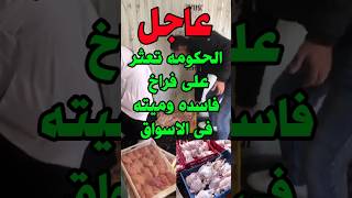 عاجل الحكومه تعثر على فراخ فاسده وميته فى الاسواق