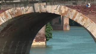 Confinement : la nature reprend ses droits en centre ville de Toulouse