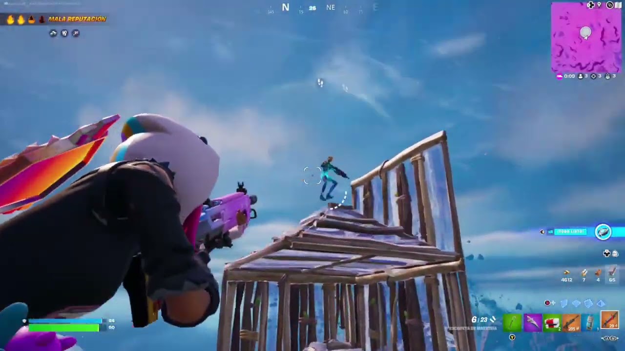 Top 59 Victorias  Un Gato y un pollo