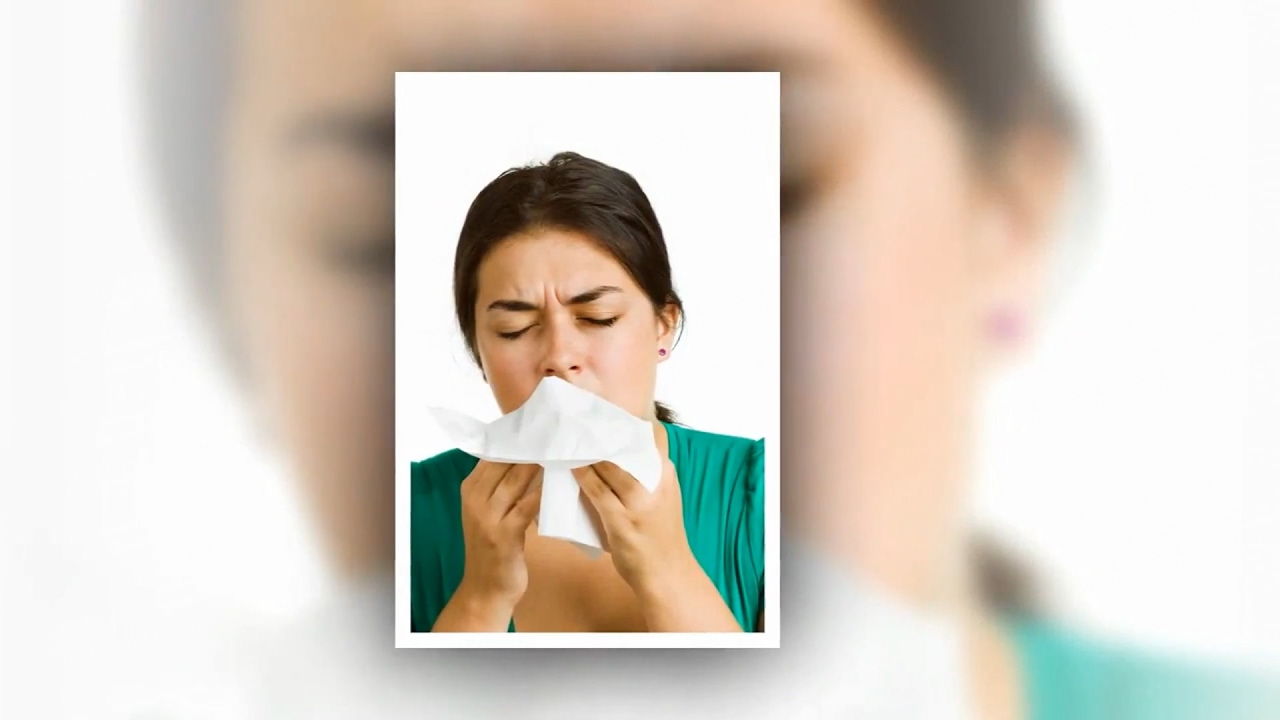 Best Air Duct Cleaner In NE Florida - Jacksonville FL 904.720.4460