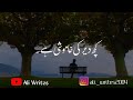 Kuch der kee khamoshi hein  whatsapp status  ali writes